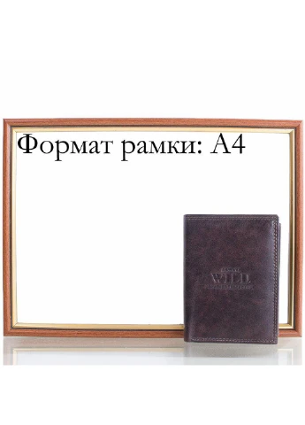 Мужской кожаный кошелек 9,5х13х2 см Always Wild (195771595)