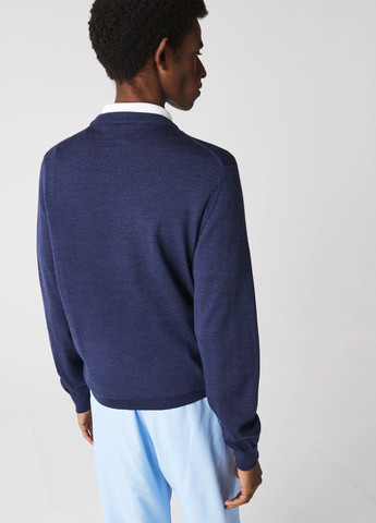 Темно-синий демисезонный джемпер джемпер Lacoste