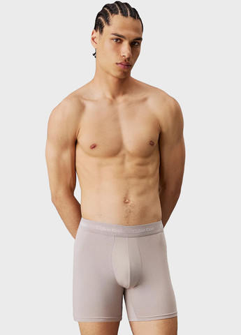 Труси (3 шт.) Calvin Klein (366424649)
