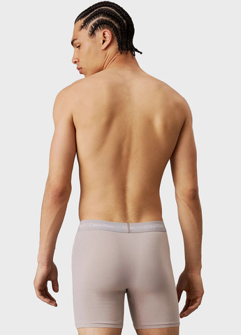 Труси (3 шт.) Calvin Klein (366424649)