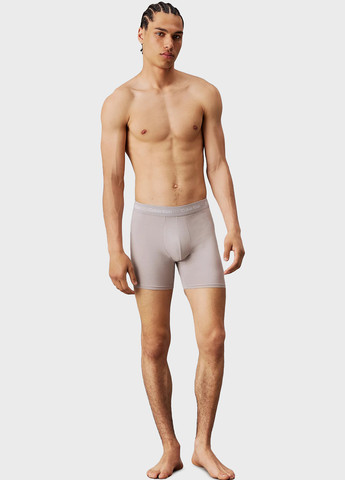 Труси (3 шт.) Calvin Klein (366424649)
