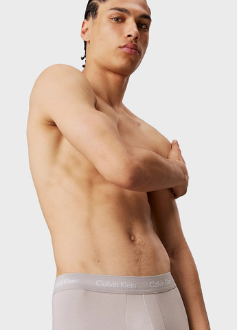 Труси (3 шт.) Calvin Klein (366424649)