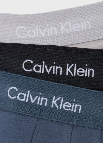 Труси (3 шт.) Calvin Klein (366424649)