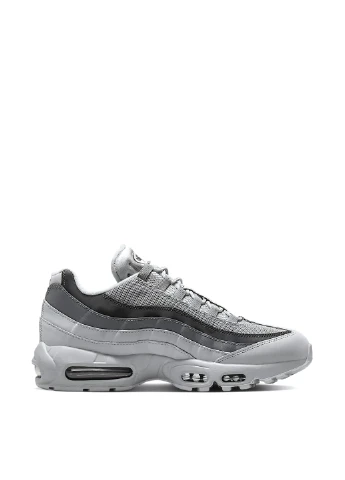 Серые демисезонные кроссовки hq3825-002 Nike Air Max 95