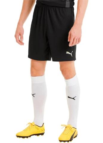 Шорти 704262-03 Puma teamGOAL 23 knit Shorts (342966413)