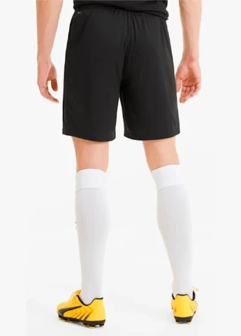 Шорти 704262-03 Puma teamGOAL 23 knit Shorts (342966413)