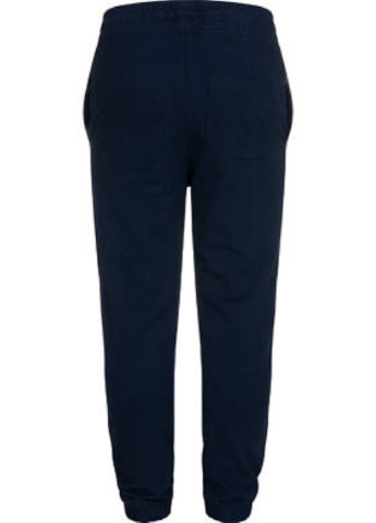Темно-синие спортивные демисезонные брюки зауженные Endo