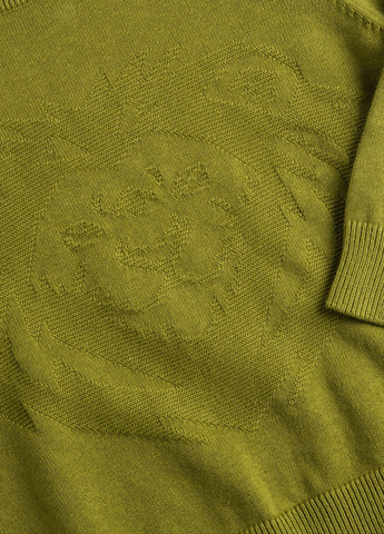 Оливковий демісезонний джемпер джемпер Chicco