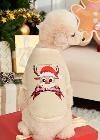 Толстовка SHEIN (332111123)