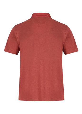 Терракотовая футболка-поло для мужчин Regatta однотонная