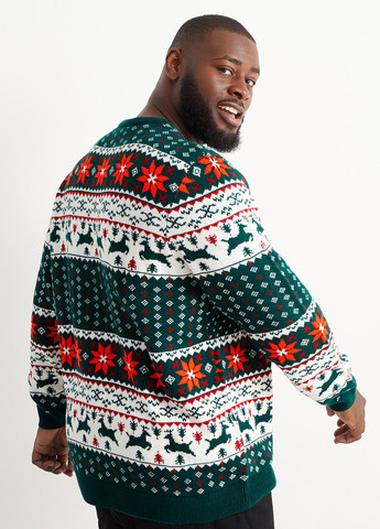 Темно-зелений демісезонний джемпер джемпер C&A