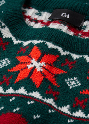 Темно-зелений демісезонний джемпер джемпер C&A