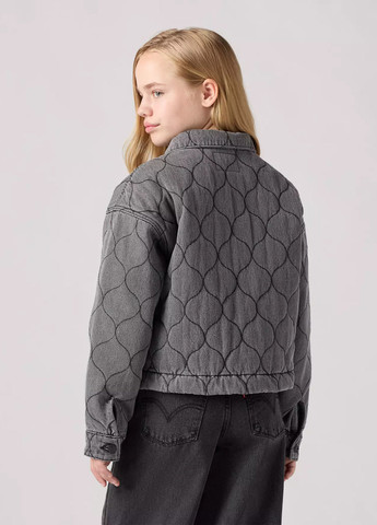 Сіра демісезонна куртка Levi's