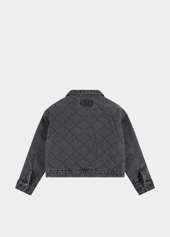 Сіра демісезонна куртка Levi's