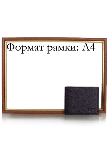 Мужское кожаное портмоне 10х8,5х1,5 см Grass (195771619)