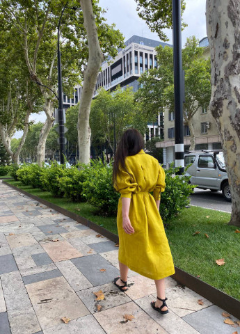 Салатова сукня Така Барвиста