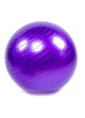 Мяч для фитнеса 65 см фиолетовый (фитбол, гимнастический мяч для беременных) EF-65-V EasyFit (243205436)