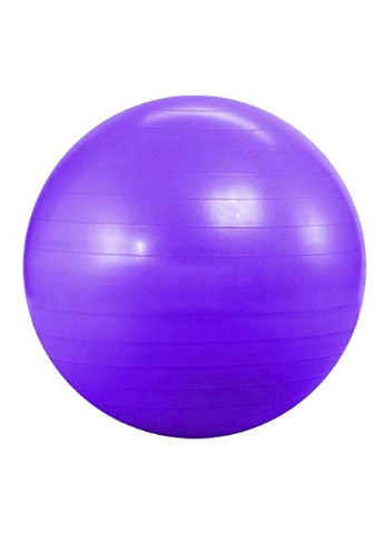 Мяч для фитнеса 65 см фиолетовый (фитбол, гимнастический мяч для беременных) EF-65-V EasyFit (243205436)