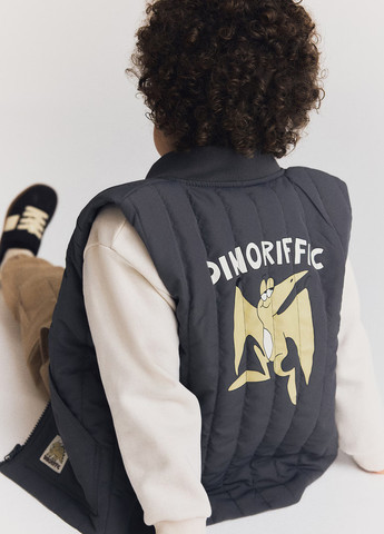 Жилет H&M (366116991)