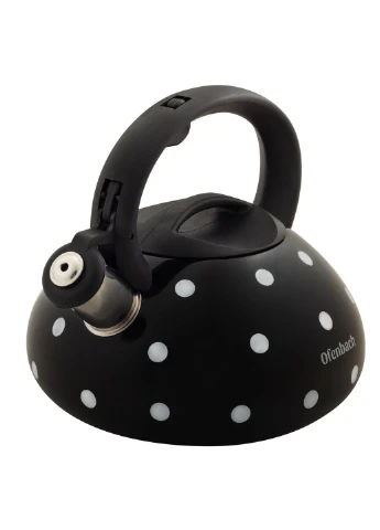 Чайник із свистком Ofenbach KM-100301 2.5 л No Brand (253544689)