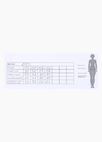 Серые спортивные демисезонные брюки Atescan