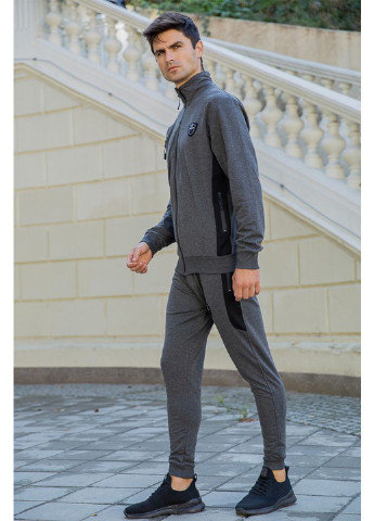 Серый демисезонный костюм (олимпийка, брюки) брючный Ager