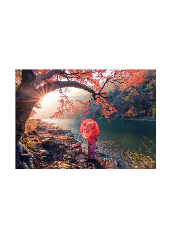 Пазл Рассвет на реке Кацура 1000 элементов (6425206) Educa (254072427)