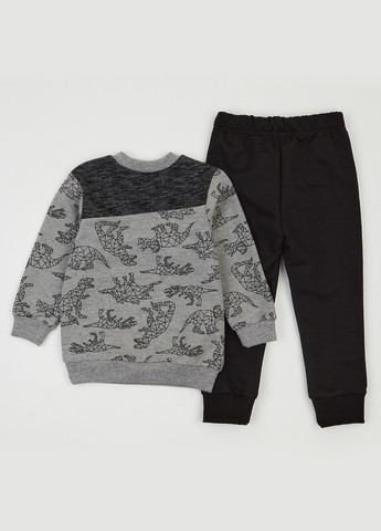 Серый демисезонный костюм (свитшот, брюки) брючный Ляля