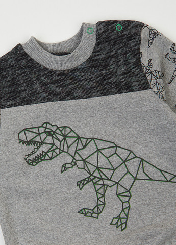 Серый демисезонный костюм (свитшот, брюки) брючный Ляля