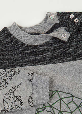 Серый демисезонный костюм (свитшот, брюки) брючный Ляля