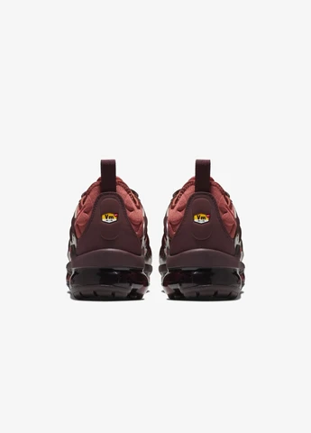 Кросівки AO4550-201 Nike W AIR VAPORMAX PLUS коричневі демісезони (317280208)