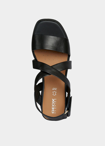 Босоніжки Geox (365681149)