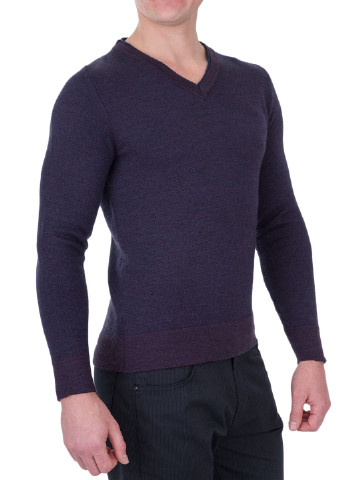 Фіолетовий демісезонний пуловер пуловер Stones