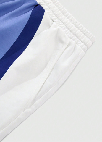 Комбинированные спортивные демисезонные прямые брюки SHEIN