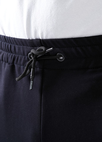 Темно-синие спортивные демисезонные джоггеры брюки Demma