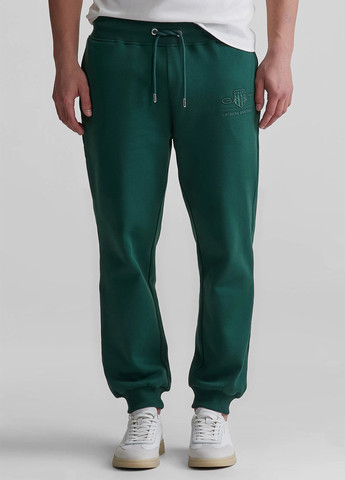 Зеленые спортивные демисезонные джоггеры брюки Gant