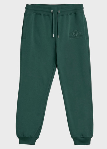Зеленые спортивные демисезонные джоггеры брюки Gant