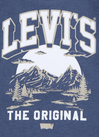 Сіро-синій демісезонний комплект (світшот, джинси) Levi's