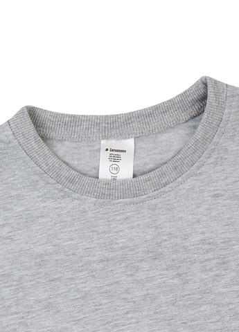 Сіра демісезонна футболка Garnamama