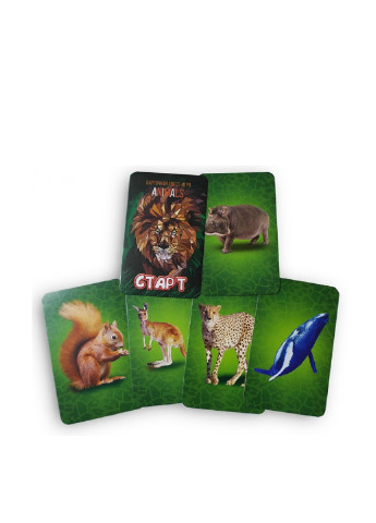 Настольная игра "Quest. Animals" Danko Toys (143948538)