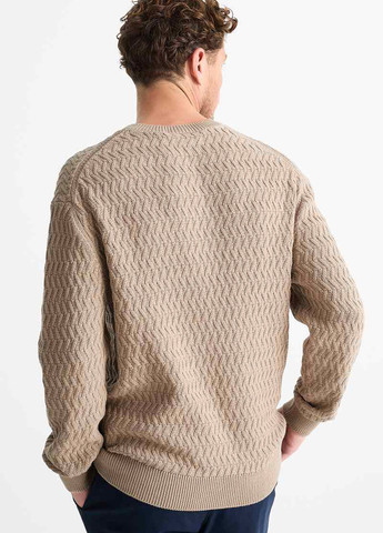 Сіро-бежевий демісезонний джемпер джемпер C&A