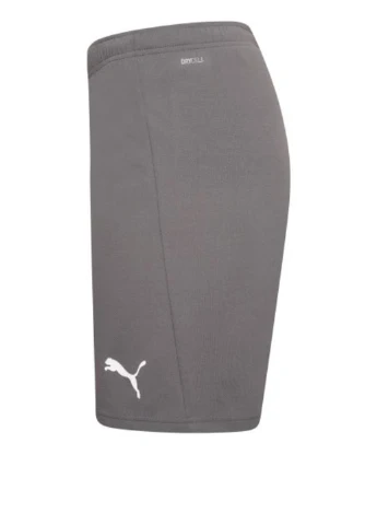 Шорты 704942-13 Puma teamRISE Short (326888190)