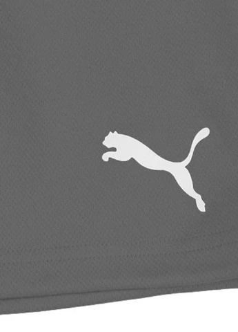 Шорты 704942-13 Puma teamRISE Short (326888190)