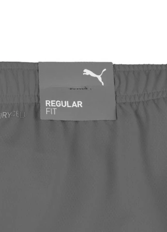 Шорты 704942-13 Puma teamRISE Short (326888190)