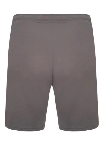 Шорты 704942-13 Puma teamRISE Short (326888190)