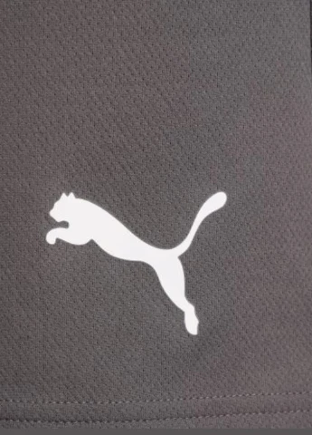Шорты 704942-13 Puma teamRISE Short (326888190)
