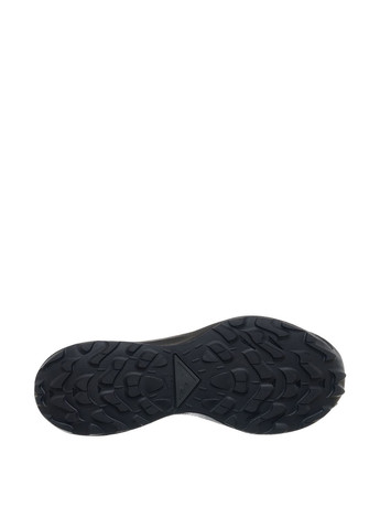 Черные всесезонные кроссовки Nike PEGASUS TRAIL 3 GTX