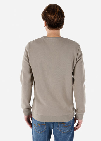 Сіро-бежевий світшот Colin's однотонний нашивки (284189334)