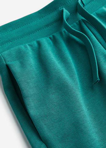 Шорты H&M (339049344)