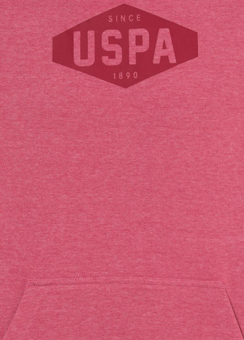 Худі U.S. Polo Assn. (322953589)